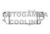 AUTOGAMMA 105868 Intercooler, charger